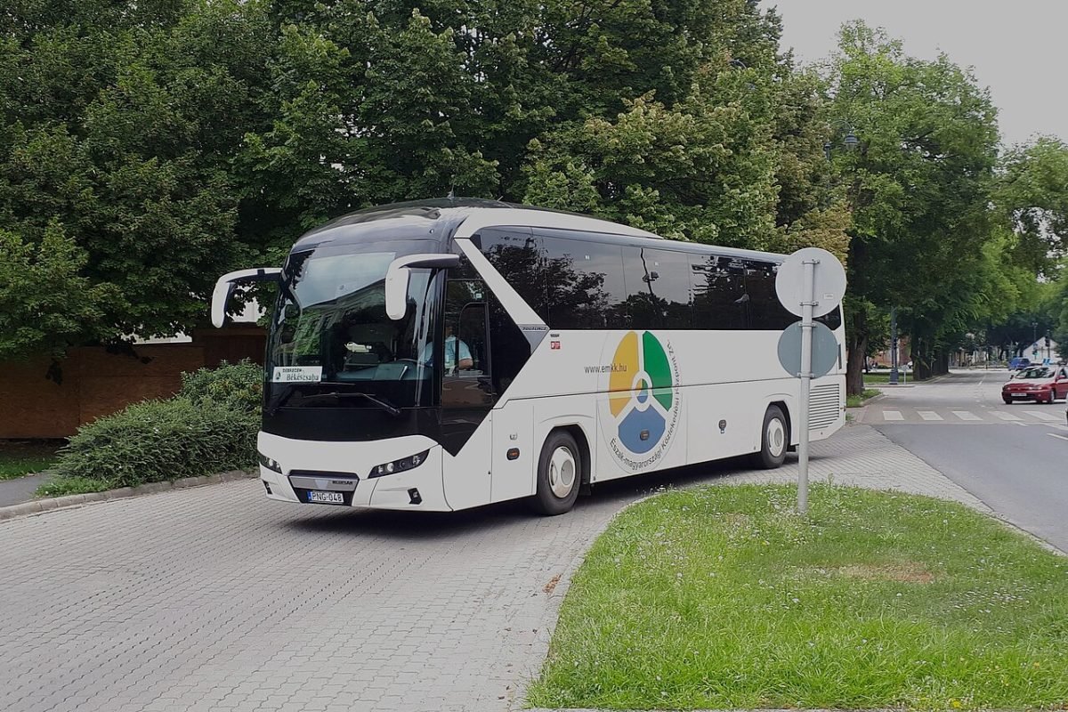 Group travel — up to 50 people